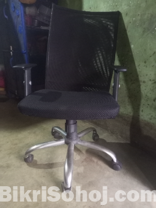 official black chear